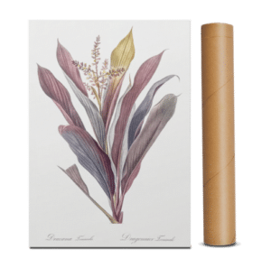 spauda-ant-drobes-spaudosdraugai