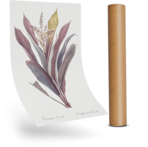 spauda-ant-popieriaus-spaudosdraugai